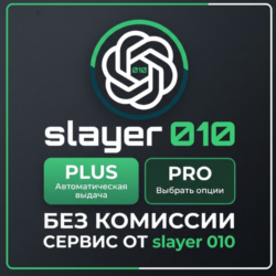 Chat GPT 5.6 PRO / PRO   / GO