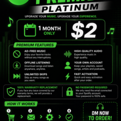 Spotify Premium Platinum — 1 месяц | Активация собственного аккаунта
