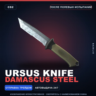 Медвежий нож | Damascus Steel | После полевых испытаний · Скин Counter-Strike 2