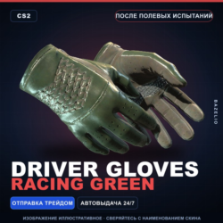 Водительские перчатки | Racing Green | После полевых испытаний · Скин CS2