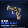 P250 | Black & Tan | После полевых испытаний · Скин Counter-Strike 2
