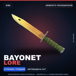 Bayonet | Lore | Немного поношенное · Скин Counter-Strike 2