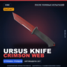 StatTrak™ Ursus Knife | Crimson Web | После полевых испытаний · Скин CS2