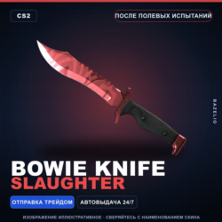 Bowie Knife | Slaughter | После полевых испытаний · Скин Counter-Strike 2