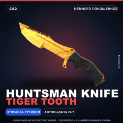 Huntsman Knife | Tiger Tooth | Немного поношенное · Скин Counter-Strike 2