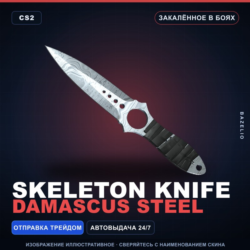 Skeleton Knife | Damascus Steel | Закалённое в боях · Скин Counter-Strike 2