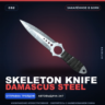 Skeleton Knife | Damascus Steel | Закалённое в боях · Скин Counter-Strike 2