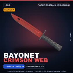 StatTrak™ Bayonet | Crimson Web | После полевых испытаний · Скин Counter-Strike 2