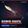 Bowie Knife | Case Hardened | Поношенное · Скин Counter-Strike 2