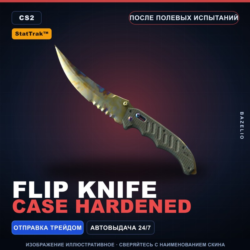 StatTrak™ Flip Knife | Case Hardened | После полевых испытаний · Скин CS2