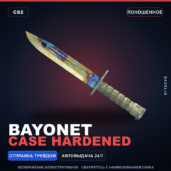 Bayonet | Case Hardened | Поношенное · Скин Counter-Strike 2
