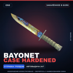 Bayonet | Case Hardened | Закалённое в боях · Скин Counter-Strike 2