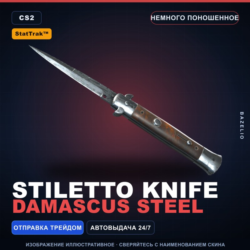 StatTrak™ Stiletto Knife | Damascus Steel | Немного поношенное · Скин CS2