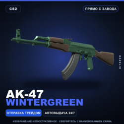 AK-47 | Wintergreen | Прямо с завода · Скин Counter-Strike 2