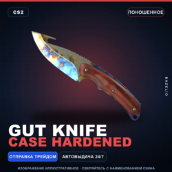 Gut Knife | Case Hardened | Поношенное · Скин Counter-Strike 2