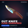 Gut Knife | Case Hardened | Поношенное · Скин Counter-Strike 2
