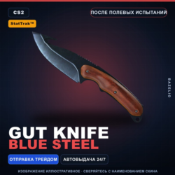 StatTrak™ Gut Knife | Blue Steel | После полевых испытаний · Скин Counter-Strike 2