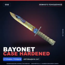 Bayonet | Case Hardened | Немного поношенное · Скин Counter-Strike 2