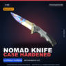 StatTrak™ Nomad Knife | Case Hardened | Поношенное · Скин Counter-Strike 2