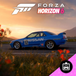 Forza Horizon 6: 1990 Nissan #12 Skyline GT-R (BNR32 Gr.A) JTC — покупка на аккаунт |