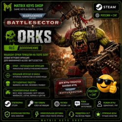 Warhammer 40,000: Battlesector – Orks (Steam/Ключ) Россия СНГ