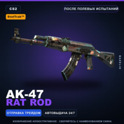 StatTrak™ AK-47 | Rat Rod | После полевых испытаний · Скин Counter-Strike 2