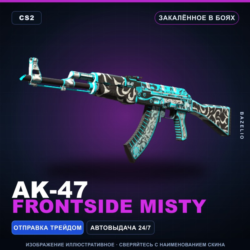 AK-47 | Frontside Misty | Закалённое в боях · Скин Counter-Strike 2