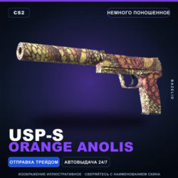 USP-S | Orange Anolis | Немного поношенное · Скин Counter-Strike 2