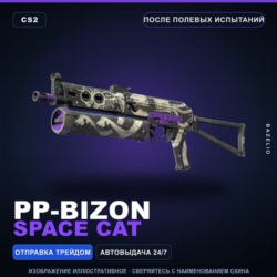 PP-Bizon | Space Cat | После полевых испытаний · Скин Counter-Strike 2