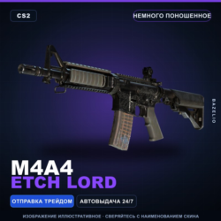 M4A4 | Etch Lord | Немного поношенное · Скин Counter-Strike 2