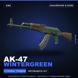AK-47 | Wintergreen | Закалённое в боях · Скин Counter-Strike 2