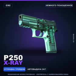 P250 | X-Ray | Немного поношенное · Скин Counter-Strike 2