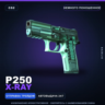 P250 | X-Ray | Немного поношенное · Скин Counter-Strike 2