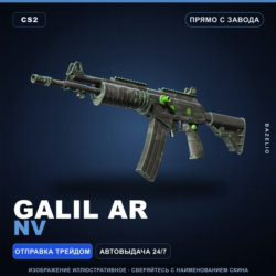 Galil AR | NV | Прямо с завода · Скин Counter-Strike 2
