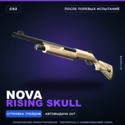 Nova | Rising Skull | После полевых испытаний · Скин Counter-Strike 2
