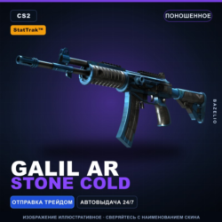 StatTrak™ Galil AR | Stone Cold | Поношенное · Скин Counter-Strike 2