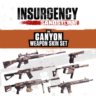 Insurgency: Sandstorm - Canyon Weapon Skin Set — Xbox Series X|S, Xbox One, PC — акти