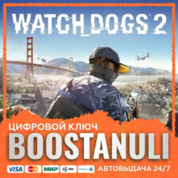 Watch Dogs 2 (PS4/PS5) — на ваш аккаунт PlayStation