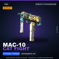 StatTrak™ MAC-10 | Cat Fight | Немного поношенное · Скин Counter-Strike 2