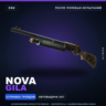 Nova | Gila | После полевых испытаний · Скин Counter-Strike 2