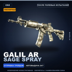 Сувенирный Galil AR | Sage Spray | После полевых испытаний · Скин Counter-Strike 2