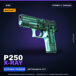 StatTrak™ P250 | X-Ray | Прямо с завода · Скин Counter-Strike 2