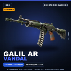StatTrak™ Galil AR | Vandal | Немного поношенное · Скин Counter-Strike 2