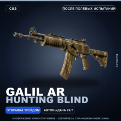 Galil AR | Hunting Blind | После полевых испытаний · Скин Counter-Strike 2