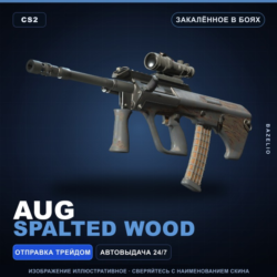 AUG | Spalted Wood | Закалённое в боях · Скин Counter-Strike 2