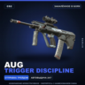 AUG | Trigger Discipline | Закалённое в боях · Скин Counter-Strike 2