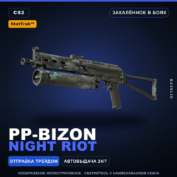 StatTrak™ PP-Bizon | Night Riot | Закалённое в боях · Скин Counter-Strike 2