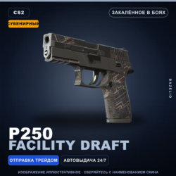 Сувенирный P250 | Facility Draft | Закалённое в боях · Скин Counter-Strike 2