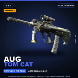 StatTrak™ AUG | Tom Cat | Поношенное · Скин Counter-Strike 2