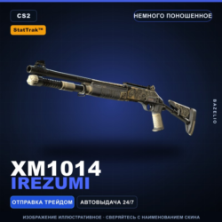 StatTrak™ XM1014 | Irezumi | Немного поношенное · Скин Counter-Strike 2